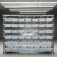 Rack d'élevage de souris et de rats en acier inoxydable avec boîte en plastique PP Cage pour rongeurs Vannes d'élevage de souris Bec pour petits animaux Vente en gros