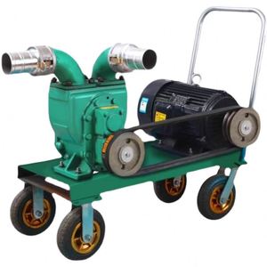High Flow High Head Electric Sewage <b>Pumps</b> with Automatic Bruteforce for Mud <b>Suction</b> and Dirty Water for Manure Slurry - Product Image 2