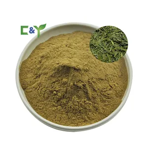 High purity green tea leaf green tea powder malaysia green tea extract powder