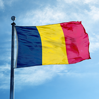 Drapeau national du Tchad 3x5 et 2x3 pieds en polyester 100D avec œillets en laiton