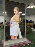 Pantalla Comercial Modular OLED para Video Wall, Pantalla Transparente para Salas de Exposiciones, Museos y Publicidad