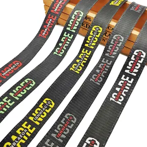 Nylon Belt Custom Sewing Belt With Your Logo Eco-friendly Plain Flat Twill Nylon Woven Heavy Webbing For Seat Belt Embroidered Bag Strap