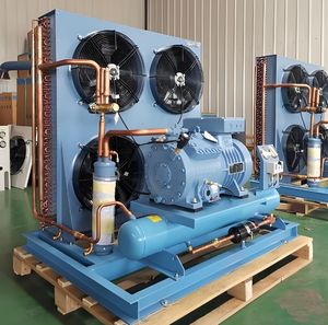 Équipement de <span class=keywords><strong>condensation</strong></span> ouvert avec moteur alternatif 3HP/4HP/5HP/7HP/9HP/10HP/12HP/15HP Support de chambre froide pour R404A/R507A - Product Image 5