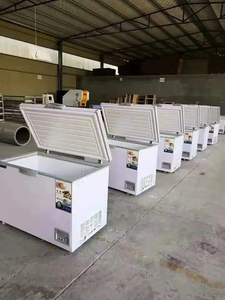 Rinascita <span class=keywords><strong>congelatore</strong></span> <span class=keywords><strong>congelatore</strong></span> ghiaccio commerciale <span class=keywords><strong>orizzontale</strong></span> frigorifero con grande capacità - Product Image 4