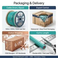 Harga Pabrik Kabel Jaringan Kombinasi Tembaga PVC Cat5e Cat6 + Kontrol OEM MOQ 100m Produsen LIBIN