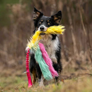 Élastique hol-ee octopus ice cream l fausse fourrure Candy edition bungee dog tug toys - Product Image 1