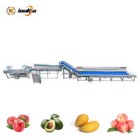 Industriële fruitwasser, tomatenborstelreinigingsmachine, sinaasappelsorteer- en -gradeermachine, citroenverwerkingslijn