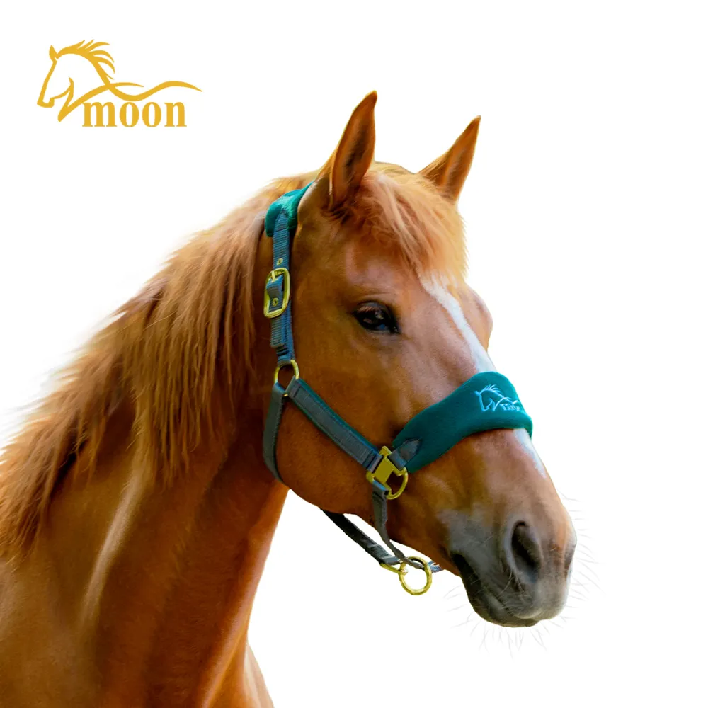 プレミアム品質のパーソナライズされた馬のビーズの鉛ロープホルターすべての色で利用可能OEMカスタマイズされたスタイルの穂軸機能素材