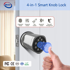 מנעול דלת חכם אלקטרוני עם טביעת אצבע, אפליקציית טויה, מפתח חכם ללא מפתח, עם מפתח רגיל, מאושר CE, לאבטחת חדר השינה - Product Image 2