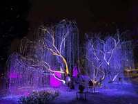Arbre lumineux à fibre optique LED à changement de couleur pour paysage extérieur de jardin avec fibres lumineuses latérales