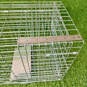 Haute qualité Offre Spéciale sans cruauté des animaux vivants piège <span class=keywords><strong>Cage</strong></span> usine en gros antiparasitaire pliable - Product Image 6