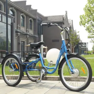 MEIGI US Stock Beliebte E-Trikes 36V 350W 3 Rad Elektro Dreirad Elektro fahrrad Cargo Bike Für Lieferung Erwachsene