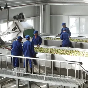 Máquina de processamento de frutas e vegetais para apple/mango