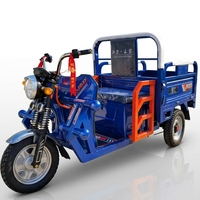 Kart électrique tout-terrain 750W 48V pour adultes avec batterie 20Ah, transmission par arbre à couple élevé, kart de course Dune Buggy