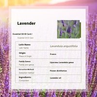 Minyak Esensial Lavender Distilasi Bunga Dataran Tinggi Organik Aromaterapi Perawatan Kulit & Kecantikan Alami Minyak Lavandula Angustifolia