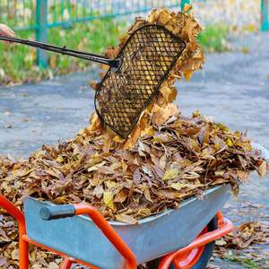 Râteau à feuilles télescopique léger en acier, ramasse-feuilles de jardin, outil de ramassage de feuilles et de déchets de gazon - Product Image 6
