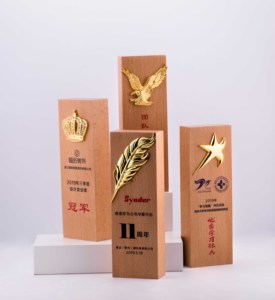 Cina Prodotto di Blocco di Legno Targa di Legno di Cristallo Chimerism Artigianato Trofeo - Product Image 4