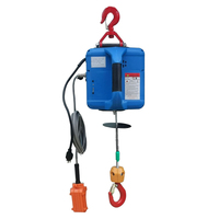 Petit palan électrique de 50kg, prix d'usine