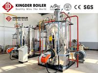 Générateur de vapeur à gaz et à mazout LHS 300 kg/h, prix usine, certifié CE, chaudière à tubes frésés basse pression pour la stérilisation en cuisine en Afrique