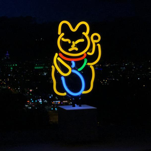 Fast Delivery Made Wall Mounted Flex Cute Custom Fun Led Neon <strong>Sign</strong> for Sale - Product Image 5