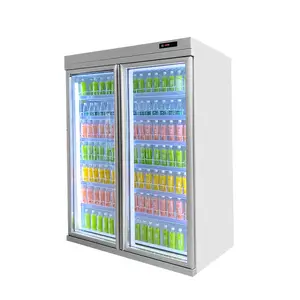 大型商用多玻璃门远程系统冰箱深冰柜