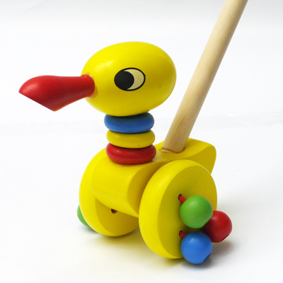 Étroite canard