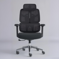Chaise de bureau ergonomique pivotante moderne avec soutien lombaire, dossier en maille, appui-tête réglable en hauteur, structure en alliage d'aluminium, pour atelier et bureau à domicile