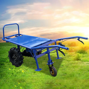 Carrello elettrico agricolo a tre ruote a batteria al litio motore frutteto magazzino trasporto carrello per auto elettrica - Product Image 6