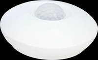 Détecteur de mouvement PIR sans fil NB-IoT, capteur de mouvement infrarouge avec alarme anti-intrusion pour la sécurité domestique