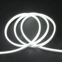Tira de LED de Neón de Silicona PVC de 24 V, 8x16 mm, 20 m, Corriente Constante, Sin Caída de Voltaje, IP68, Resistente al Agua, Luz Flexible Tipo Cuerda, CE ROHS