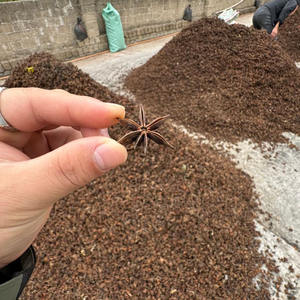 Suministro al por mayor de hierbas y especias clasificadas y de secado único de anís estrellado Drie natural puro de alta calidad - Product Image 2
