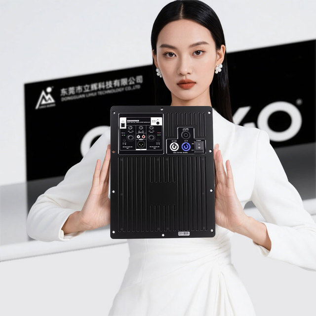 Factory Wholesale 1200+600W*2 2 Channels Active Amplifier Dsp Module 10 Ohms Class D Professional Audio Power Amplifier