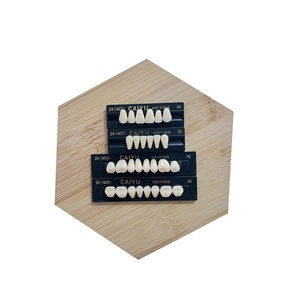 Source d'alimentation manuelle de l'usine CAIYU certifié CE ISO deux couches de <span class=keywords><strong>dents</strong></span> en résine synthétique ensemble complet de <span class=keywords><strong>dents</strong></span> en résine <span class=keywords><strong>composite</strong></span> - Product Image 5