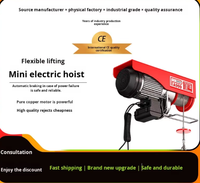 Mini palan électrique, petite grue, 220V 110V 0.6KW, modèle 001, grue à câble domestique, levage flexible, micro-palan électrique, gréement
