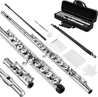 Woodwind Instrument Manufacturer Nickel Plated C Flute, 16 Closed Hole White Copper Flute With E Key Complete Accessory Kit