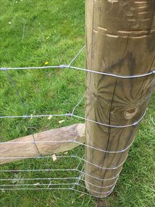Recinzione per Cavalli in Acciaio Zincato Resistente alle Intemperie, Ecologica, di Alta Qualità, Design Naturale per Fattorie e Vigneti - Product Image 1