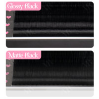Extensions de cils volume, courbures mixtes C CC D DD, faites à la main, en plateaux
