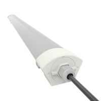 Lumière étanche LED économique à haut lumen 2ft 4ft 5ft PC Housing Linkable LED Tri Proof Wall Light pour l'éclairage commercial