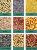 Machine de nettoyage et de triage des grains conviviale pour tous les types de céréales dans les applications agricoles au Niger