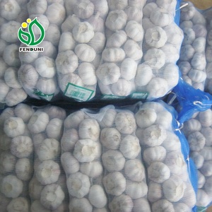 Meilleure qualité ail frais de chine pour <span class=keywords><strong>la</strong></span> colombie - Product Image 6