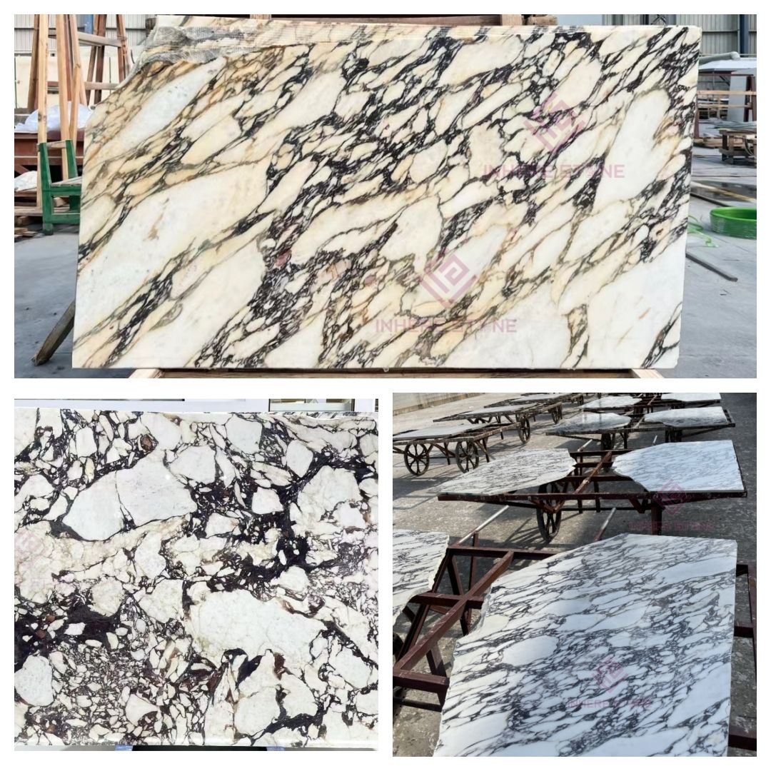 คาลาแคตตาวิโอลา