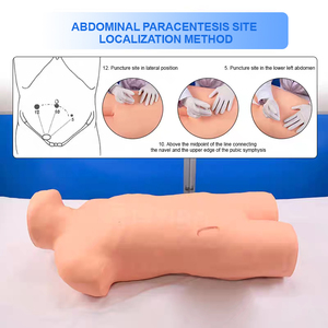 Mannequin d'entraînement ADA pour ponction thoracique et abdominale, modèle anatomique de sciences médicales, mobilité abdominale, Turbid - Product Image 3