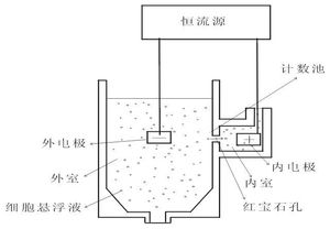 جهاز تحليل الدم الآلي للحيوانات من URIT ذو <span class=keywords><strong>5</strong></span> أجزاء مختلفة طراز 5160Vet - Product Image 3