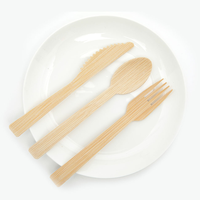 Couverts jetables en bambou biodégradables écologiques modernes et personnalisés pour les fêtes, le camping, les restaurants et les hôtels