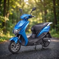Moped électrique 72V 30AH 1000W pour adultes, motocyclettes électriques à deux roues avec batterie au plomb-acide