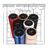 Vente en gros de bouteille d'eau avec infuseur en acier inoxydable de 17 oz Affichage tactile de la température Nouveau design Batterie Tasse de bureau pour la cuisine