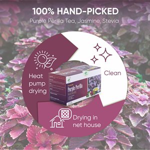 Heart Health Purple Perilla <b>Tea</b> Organic Leaves from Vietnam <b>Tea</b> Bag Convenient for Consumers - Product Image 4