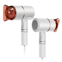 Sèche-cheveux pliable mains libres pour bureau, ions négatifs, 1000W, trépied, support mural