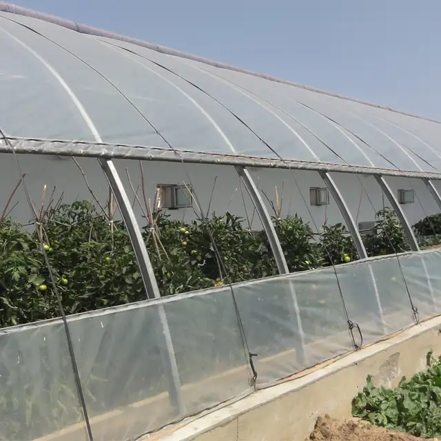 寒い冬に成長する野菜のための地球またはレンガの壁を備えた中国のプラスチックフィルム温室
