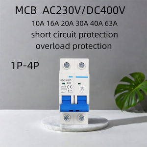 Mini disjoncteur OEM DZ47-63 1P 2P 3P 4P MCB 20A-63A AC/<span class=keywords><strong>DC</strong></span> 230/400V tension nominale 4.5KA capacité de rupture Rail DIN LI Rccb - Product Image 6